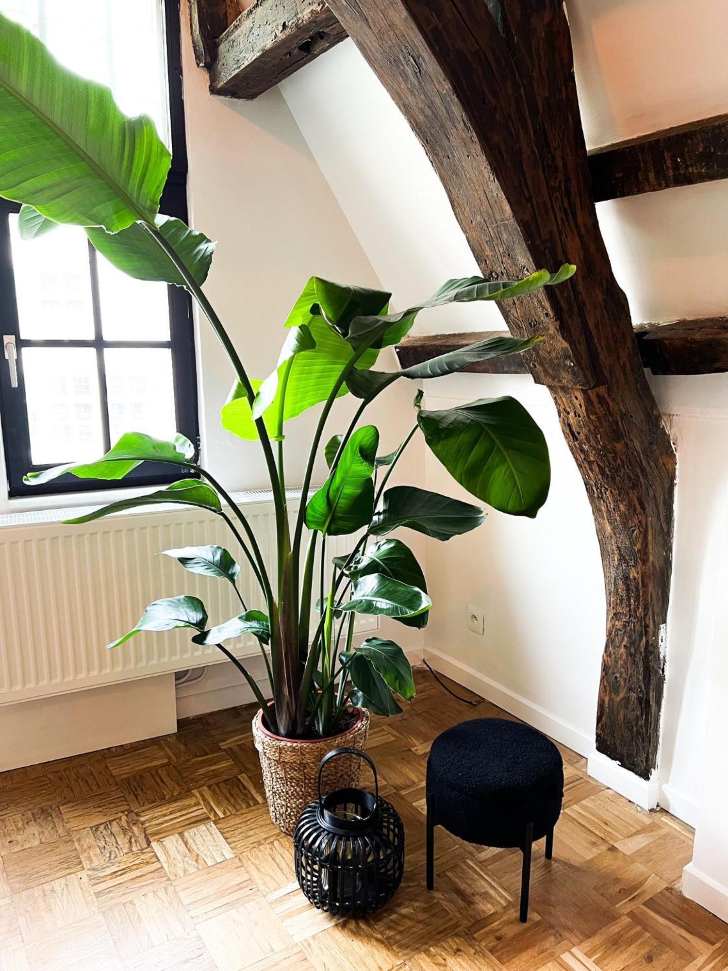Nammos Home'S Antwerpen Ngoại thất bức ảnh